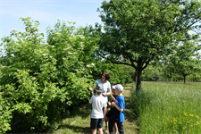 Foto für Klimafüchse im Naturpark Obst-Hügel-Land